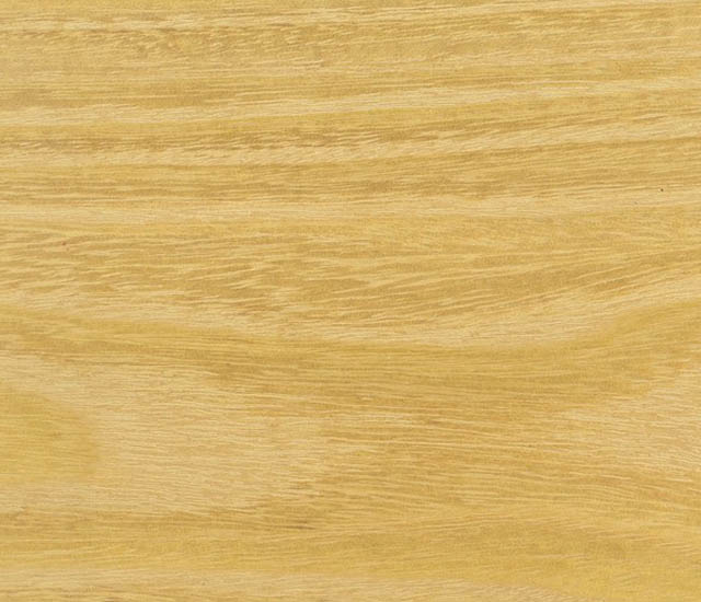 white oak foliage, bark and typical form