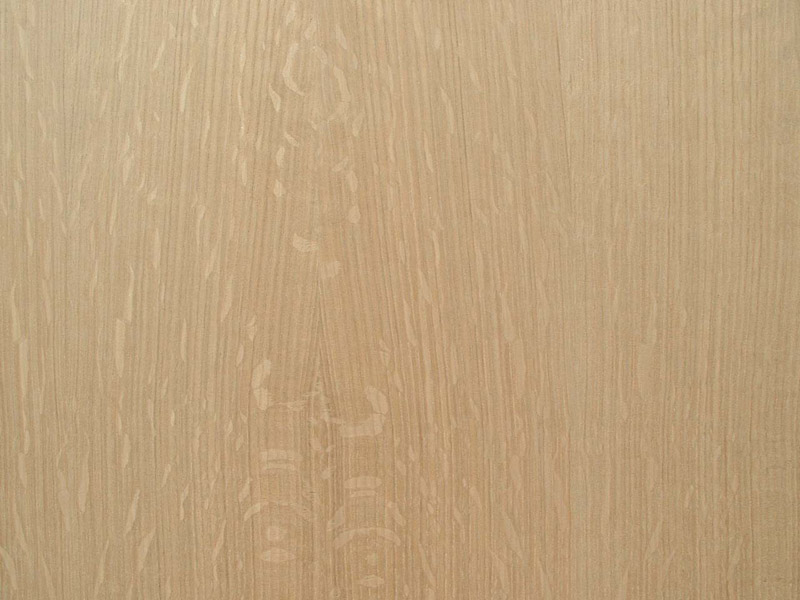 Plain Sawn Oak Medularry Rays of Quartersawn Oak