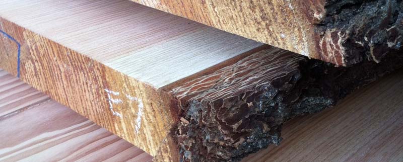 hardwood slabs moving logs